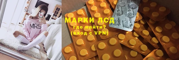 прущая мука Вяземский