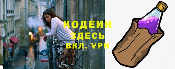 прущая мука Вяземский