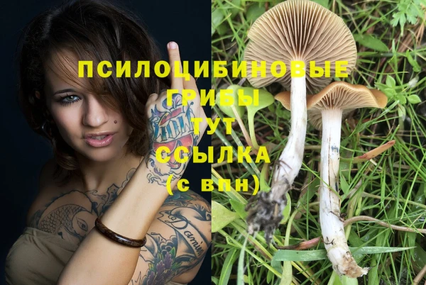 PSILOCYBIN Тихорецк