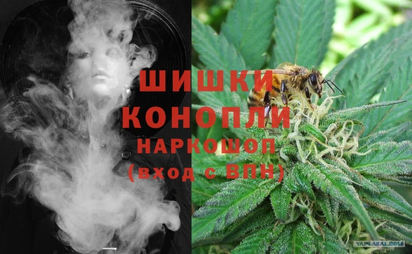 дмт Володарск