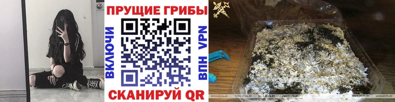 Купить  Сафоново  Псилоцибиновые грибы ЛСД 